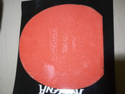 IMG-20200313-192902.jpg